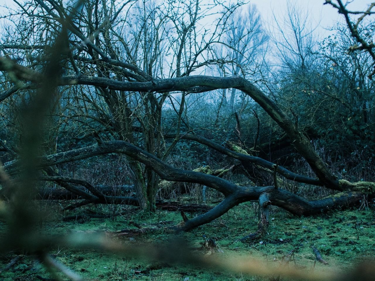De gestuurde storm